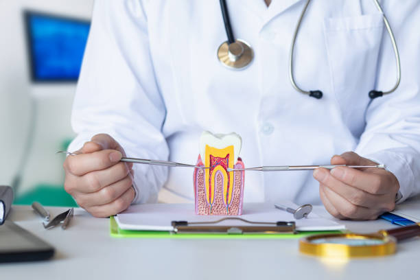 Best Broken or Cracked Tooth Emergency Dentist in Skokie, IL